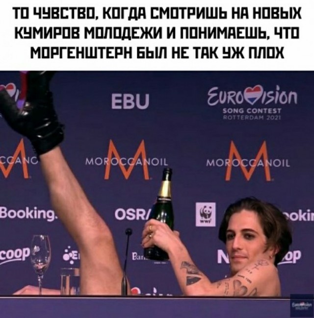 Весёлый полтишок 25.05