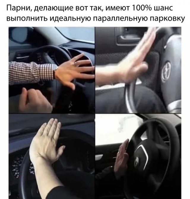 Весёлый полтишок 15.08