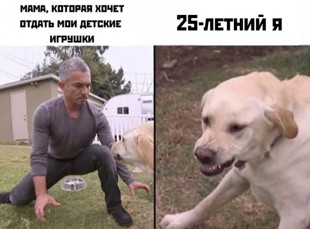 Весёлый полтишок 31.08