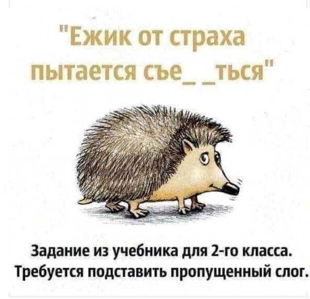 Картинки и мемы обо всём 27.09.2021