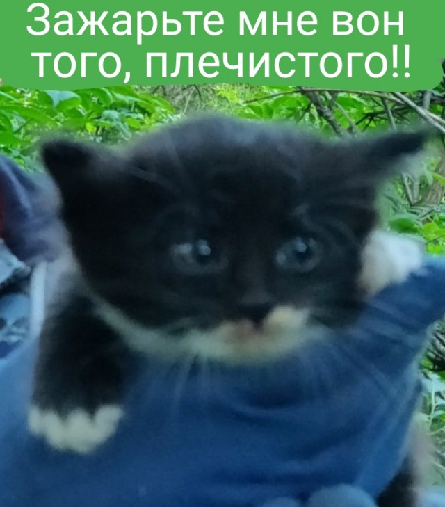 Будни тракториста