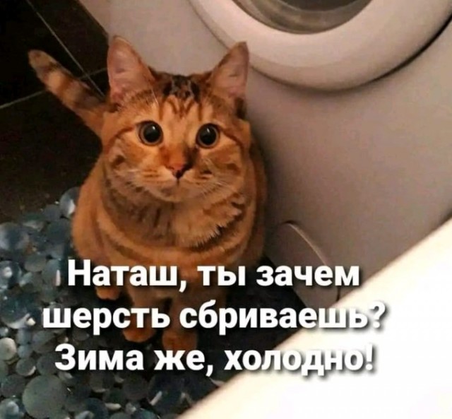 Спасибо