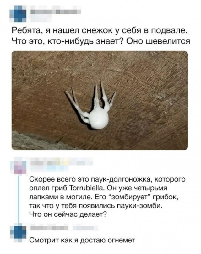 Чуток картинок 09.12.21