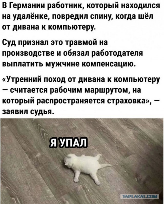 Разные картинки для настроения на любой вкус - 9
