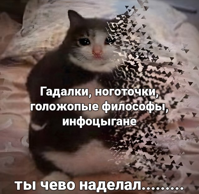 Instagram заблокируют в понедельник 14 марта