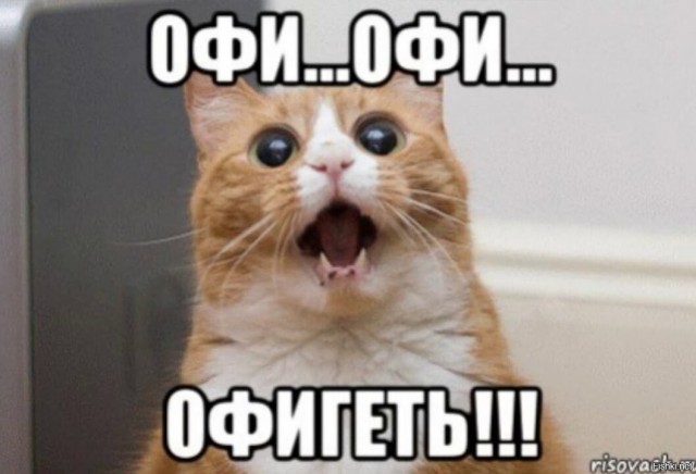 На ДВ нашли альтернативу импортному кошачьему корму