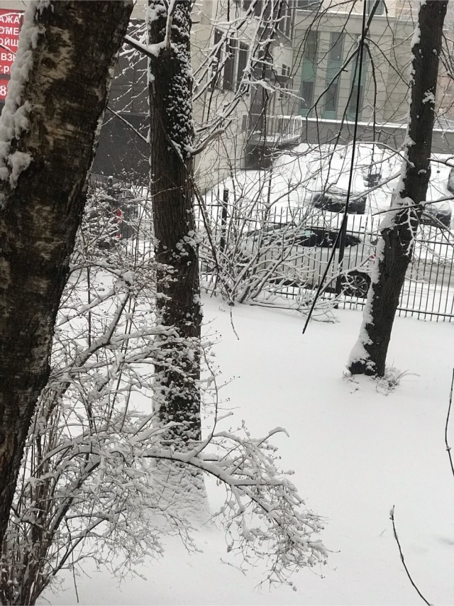 А какая у Вас сегодня весна за окном?!