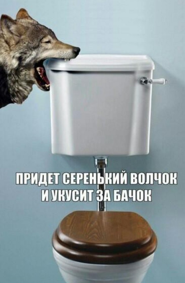 Я злой и страшный серый волк
