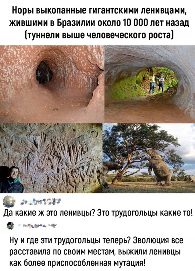 Так себе картинки 25.07.22