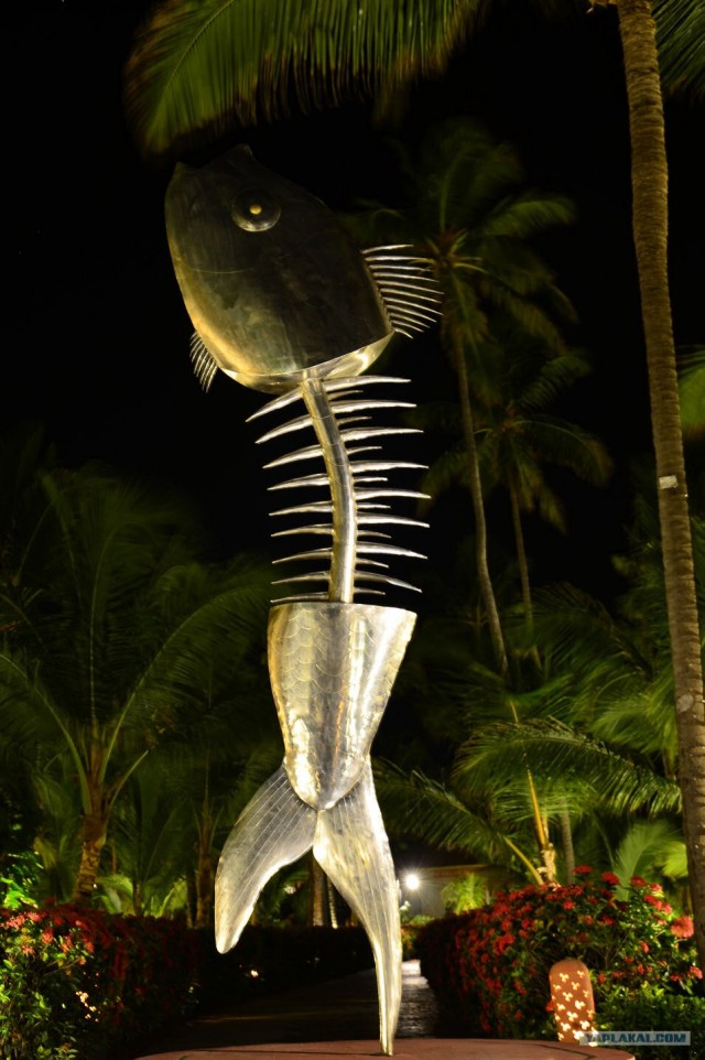 Путешествие по Северной Америке