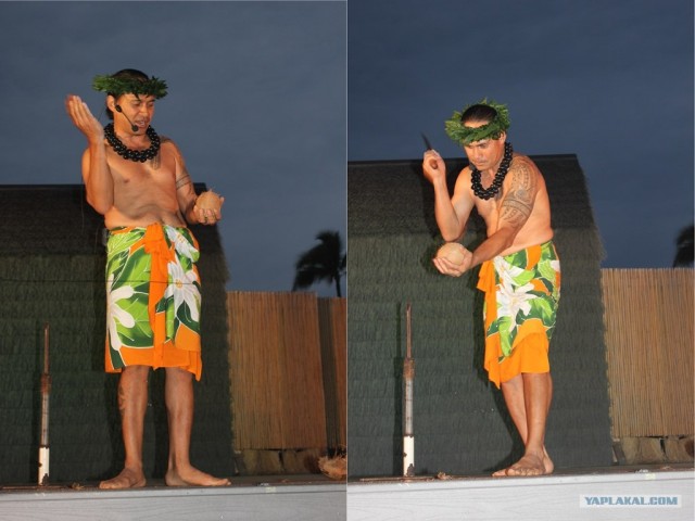 Путешествие на Гавайи