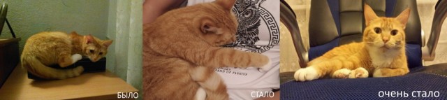 Просто принцесса Лея