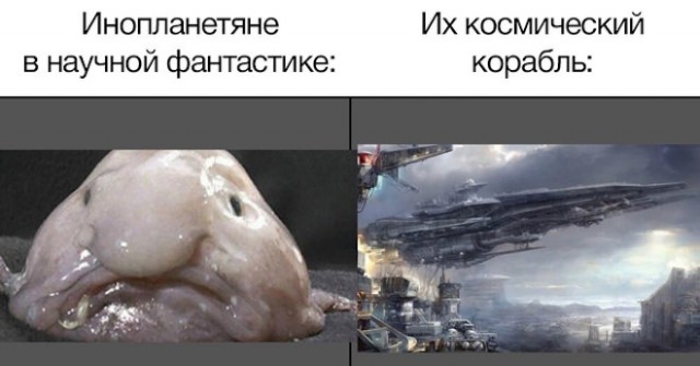 Деградация лайт 14.10.2022