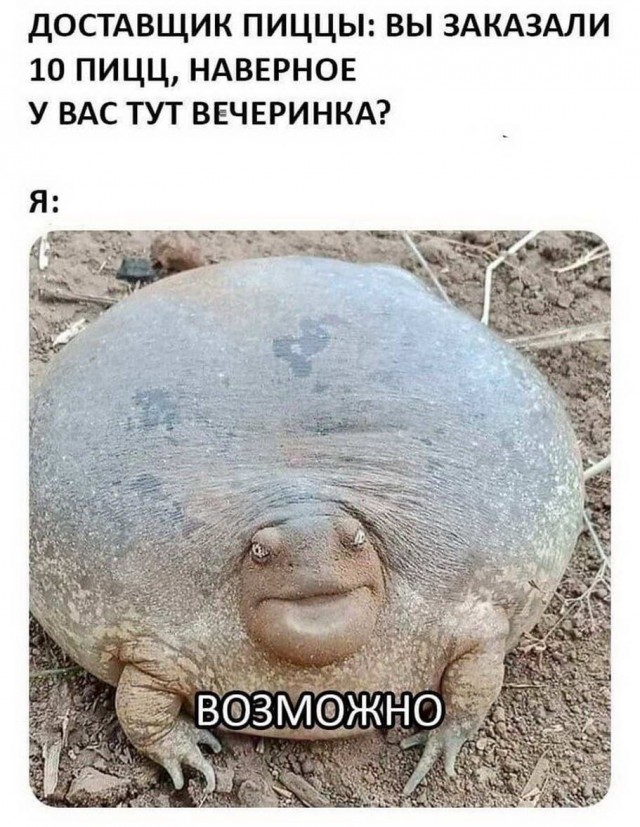 Прикольные и просто красивые картинки 18.11.2022