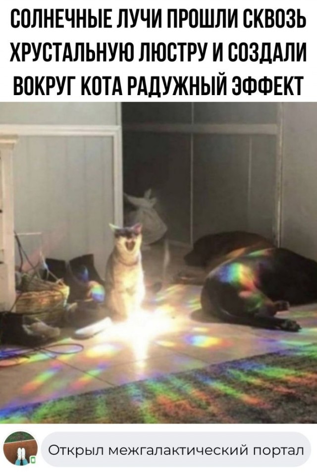 Картинки и мемы для настроения - 133