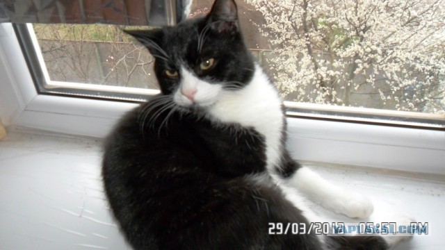 Жизнь странная штука или