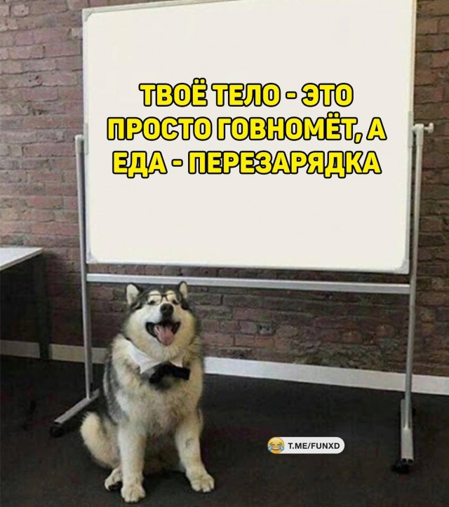 Картинки и мемы, всяко разно - 183