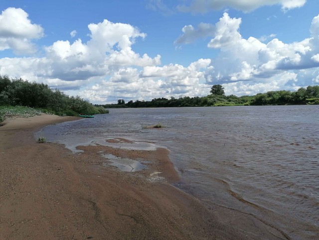 Один в лодке, не считая собаки