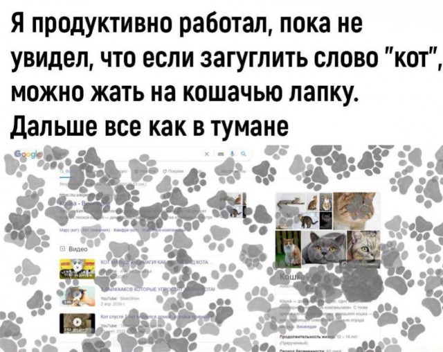 Всего понемногу. От 20.12