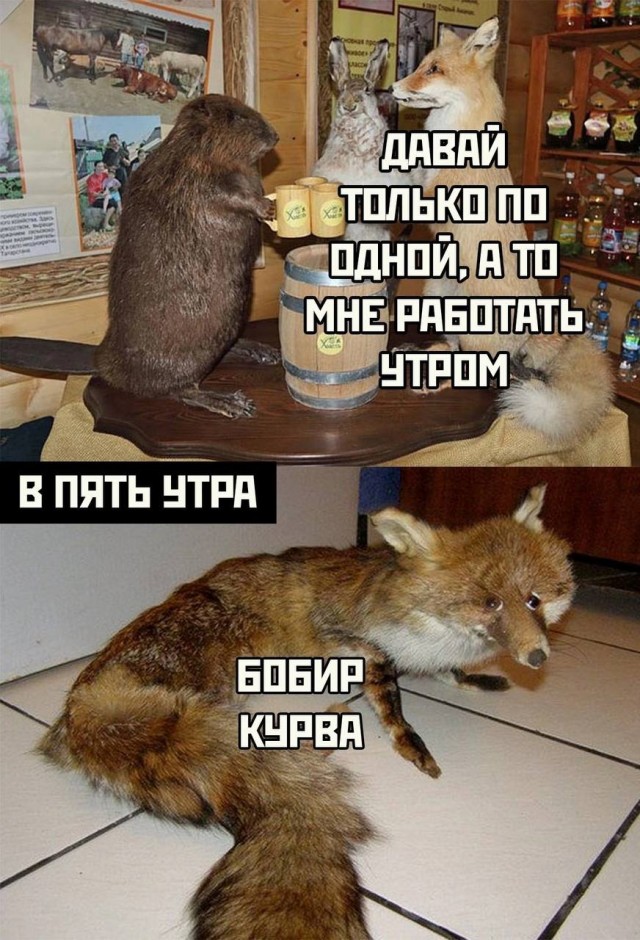Завалялось тут случайно немного забавных картинок