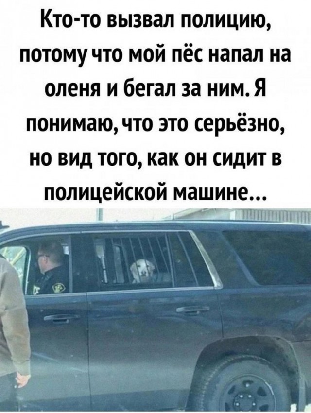 Пятничное улыбательное
