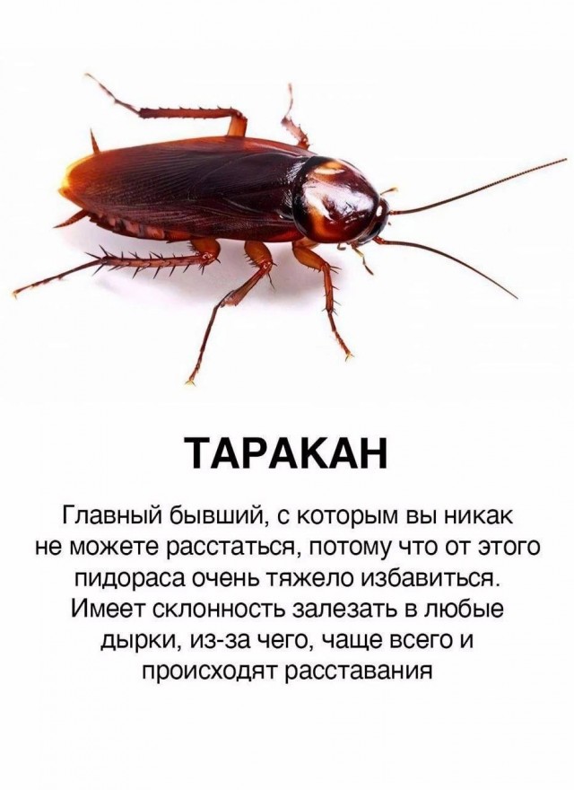 Юмор в картинках и без