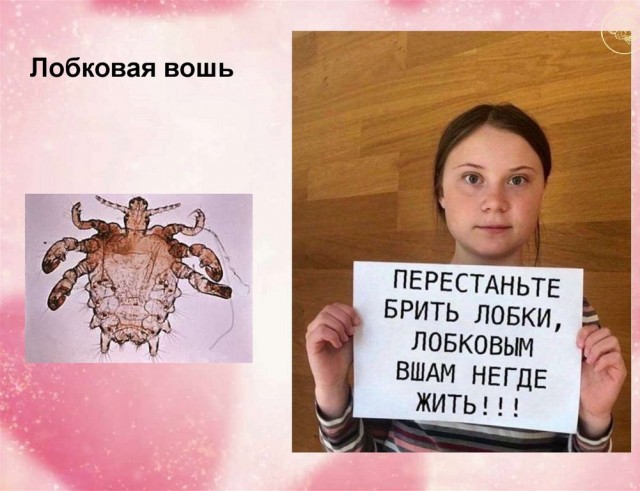Концерт от Глюкозы