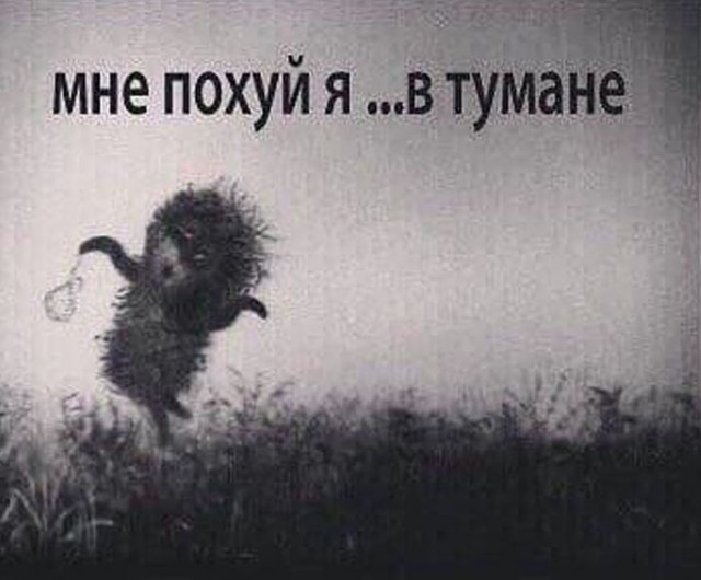 Прикольные и просто красивые картинки