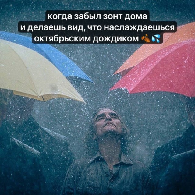 Весёлый полтишок 14.10.2024