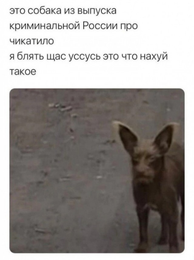 Так себе картинки 03.11.24