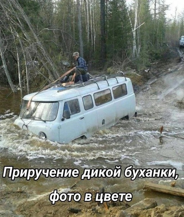 Так себе картинки 24.12.24