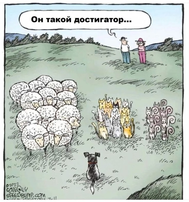 Прикольные и просто красивые картинки 04.04.2025