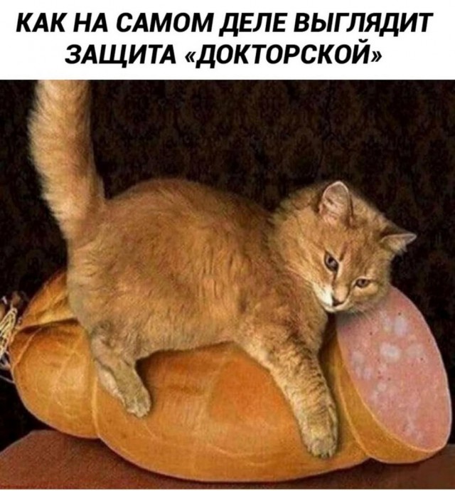 Картинки, своеобразного юмора
