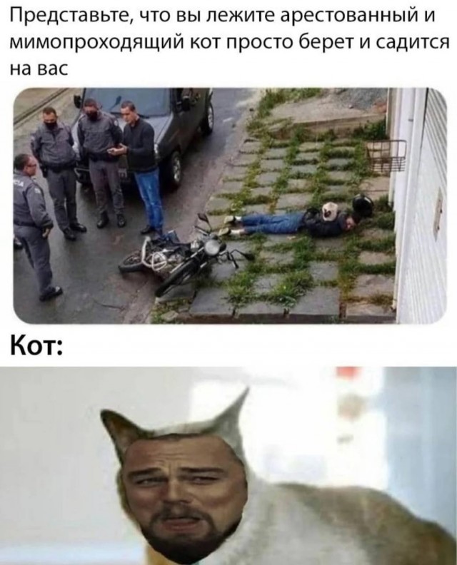 Завалялось тут случайно немного забавных картинок