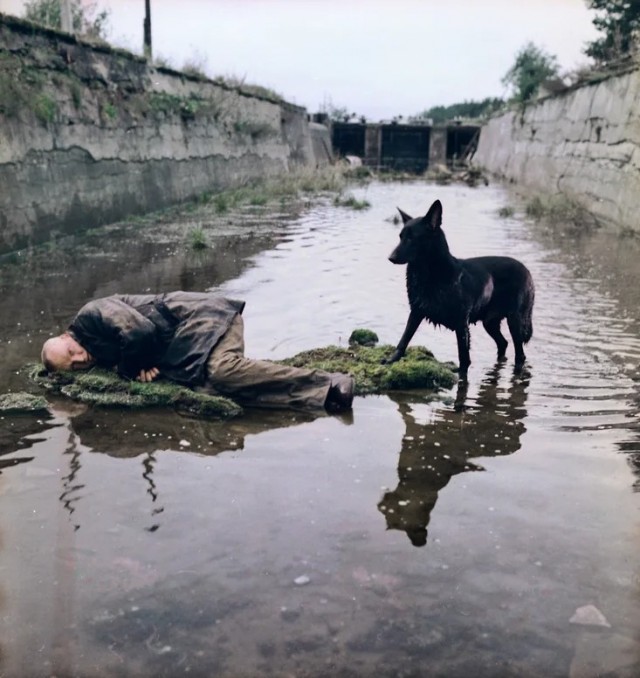 "Сталкеру" — 45 лет
