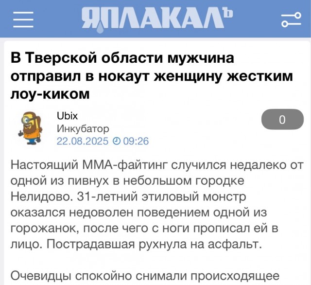 В Тверской области мужчина отправил в нокаут женщину