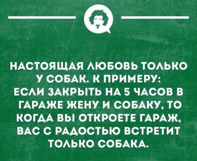 У них любви больше, чем у людей