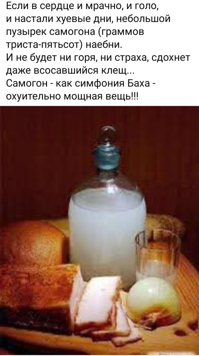 Картинки для деградации 61 (разной степени свежести)