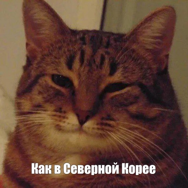Роскомнадзор получил полный контроль над Рунетом