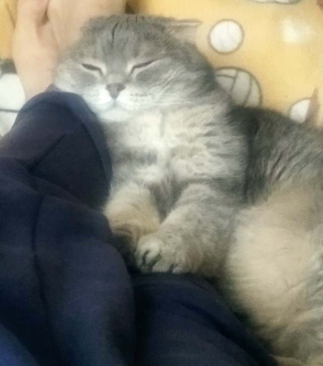 Тихон