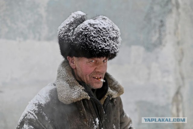 На Севере не мерзнут: разбор популярного мифа