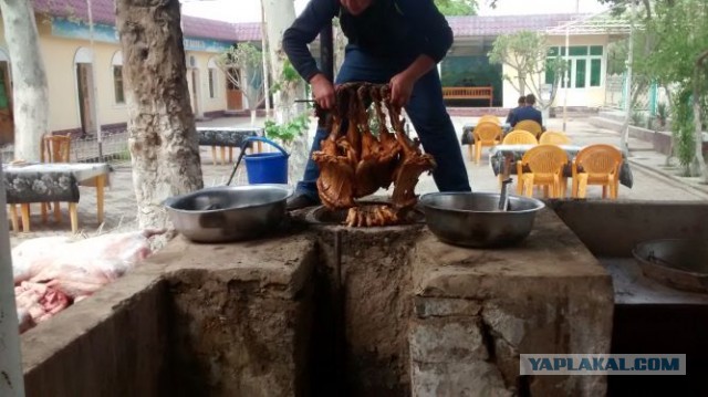Десятка крайне необычных блюд со всего мира