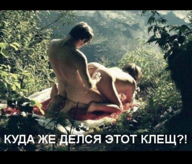 Картинки для деградации 144 (разной степени свежести)