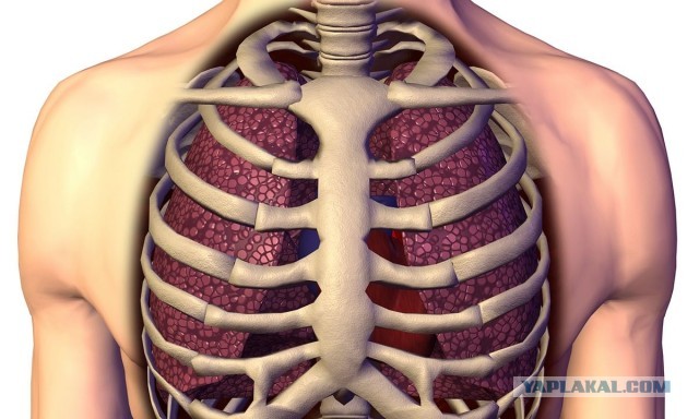 Имеет место