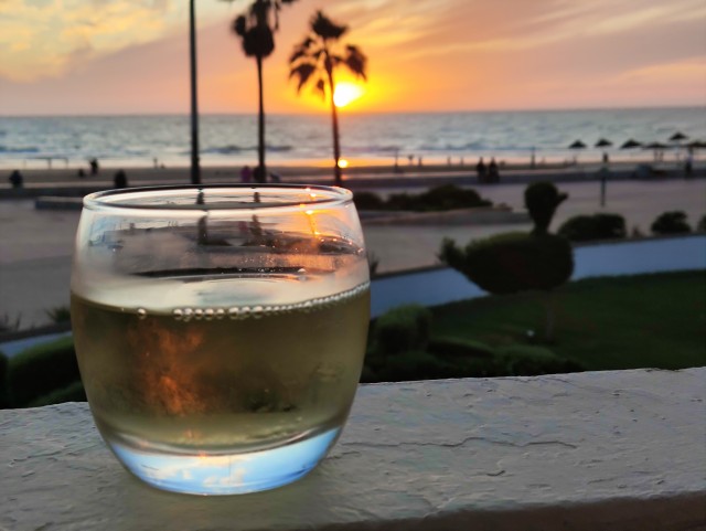 Уличные кошки Марокко