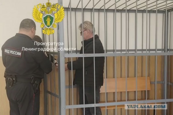 Мастер в Луге приподнял холодильник и вытащил полтора миллиона