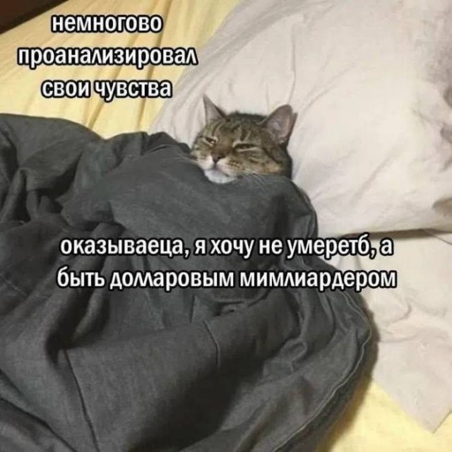 Картиночки, баянчики 27 июня