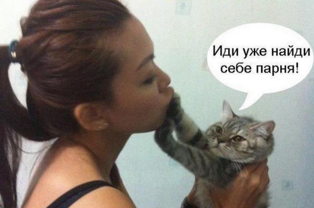 Котовторник же!