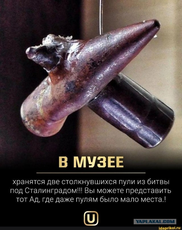 Да как так-то?!