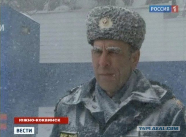 Бодрая наркомания на воскресенье